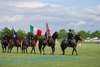 polo_cup003