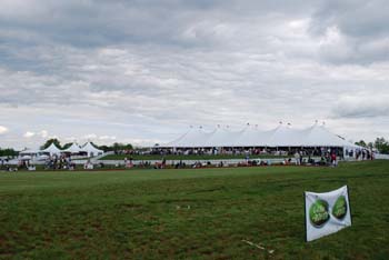 polo_cup012