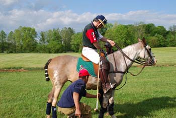 polo_cup096