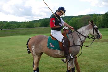 polo_cup102