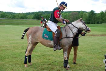 polo_cup104