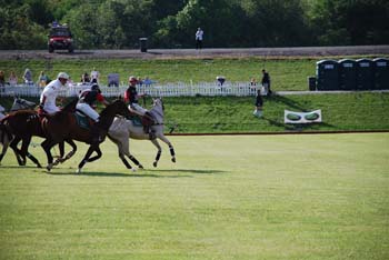 polo_cup124