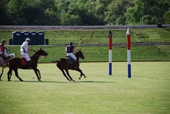 polo_cup125