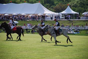 polo_cup127