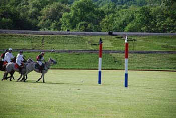 polo_cup128