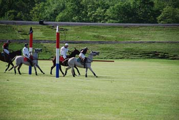 polo_cup129