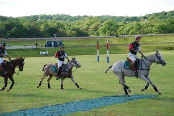polo_cup135