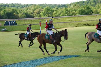 polo_cup136