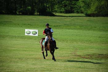 polo_cup140