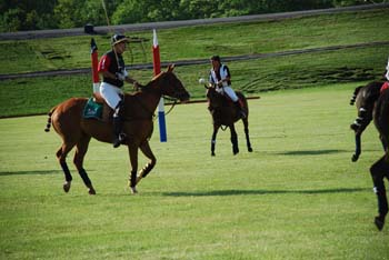 polo_cup143