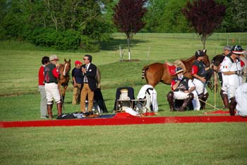 polo_cup150