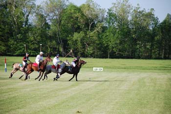 polo_cup155