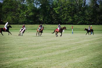 polo_cup156
