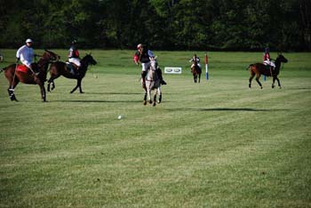 polo_cup157
