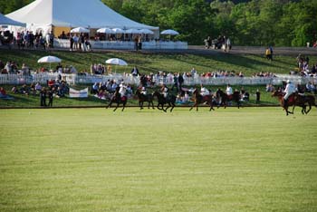 polo_cup160