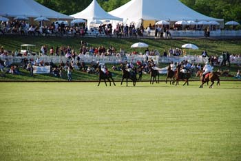 polo_cup161