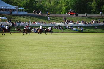 polo_cup162
