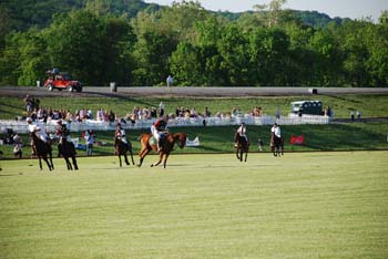 polo_cup163