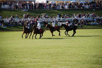 polo_cup165