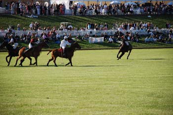 polo_cup166
