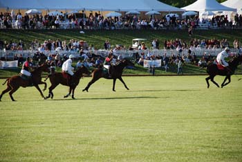 polo_cup167