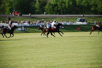 polo_cup169
