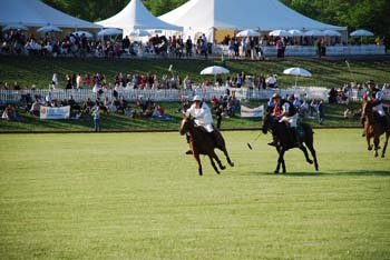 polo_cup171