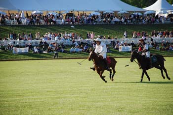 polo_cup172
