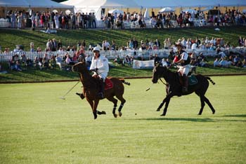 polo_cup173