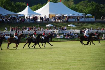 polo_cup174