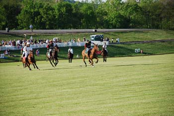 polo_cup176