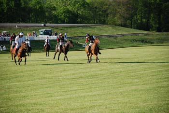 polo_cup177