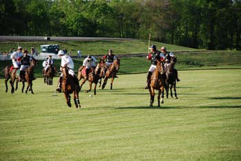 polo_cup178