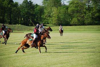 polo_cup179