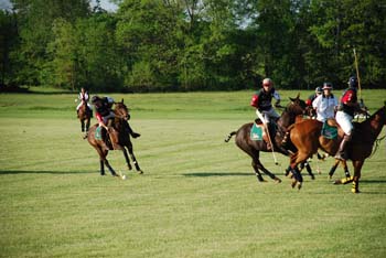 polo_cup180