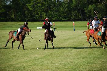 polo_cup181