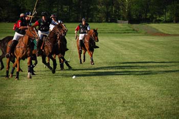 polo_cup182