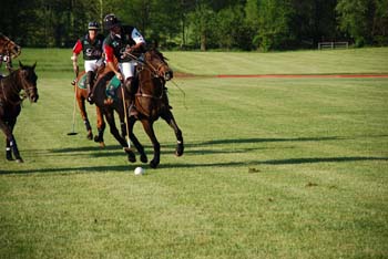 polo_cup183