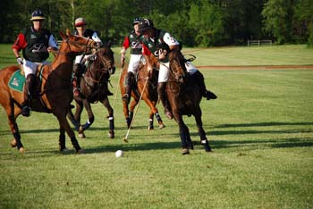 polo_cup184