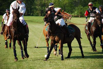 polo_cup185