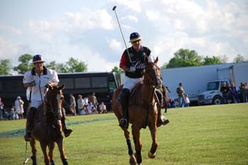 polo_cup186