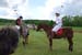 polo_cup103