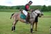 polo_cup104