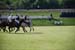 polo_cup124