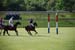 polo_cup125
