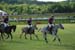 polo_cup134