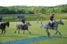 polo_cup135