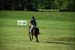 polo_cup140