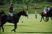 polo_cup142