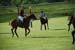 polo_cup143